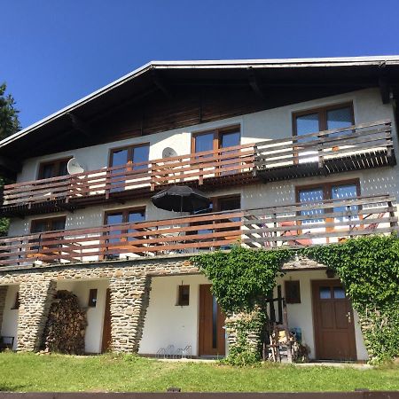 Apartmán U Sjezdovky Zelezna Ruda Exterior foto