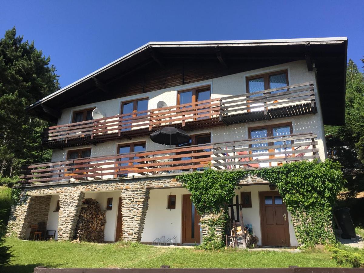 Apartmán U Sjezdovky Zelezna Ruda Exterior foto